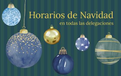 Horarios de Navidad delegaciones
