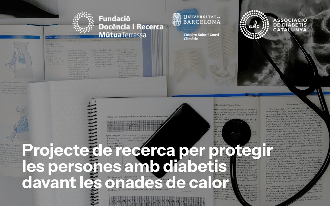 hl-projecte-recerca-terrassa